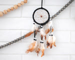 Dream Catchers 6 Colors